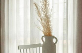 LAR DA REVOLTA - Foto 22