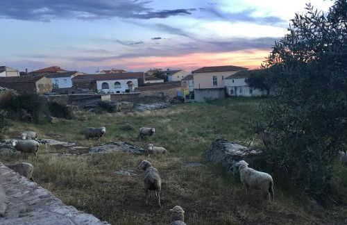 Casa rural La Tahona del abuelo TR CC 00344 - Foto 16