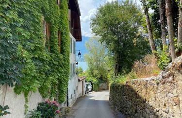 Appartement avec Jardin & vue Lac Talloires (15' Annecy) - Foto 28