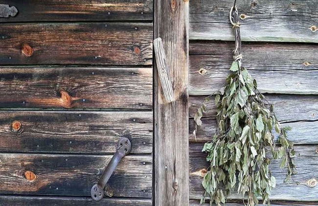 Parc national de Sipoonkorpi et expérience de sauna à fumée - Photo 6