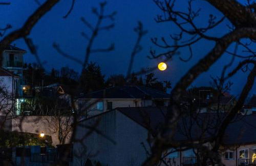 Desconexión en la sierra casa con terraza y bbq - Foto 25