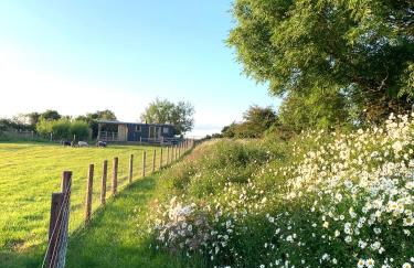 Fferm Fach by Birch Stays - Foto 35