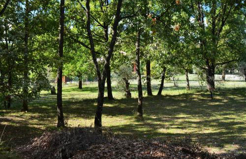 Domaine GEODORA, Parfumeur en Provence - Foto 67