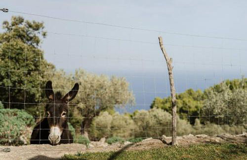 Casa "Tramuntana" - Foto 50