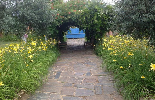 Charming Garden Retreat in Pedrogao Grande - Foto 17