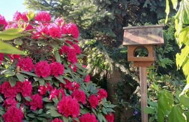 Fewo Seestern - Foto 5