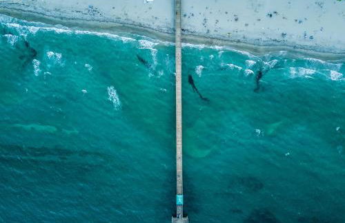 Paradise Awaits! Beach, King Bed, Private Yard & Workspace - Photo 30