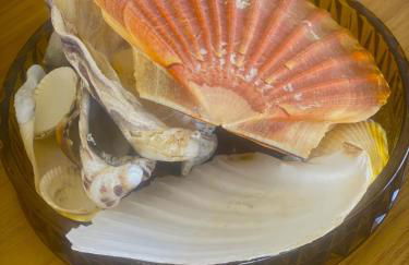 pontons view residence - Photo 41