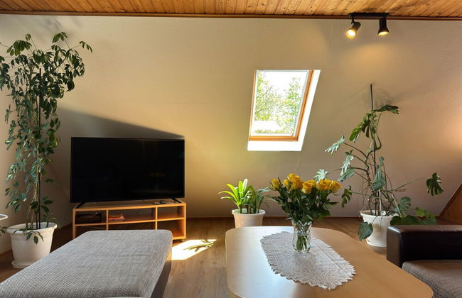 Ferienwohnung in Moorhusen - Foto 18