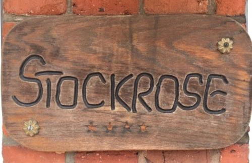 Stockrose - Foto 10
