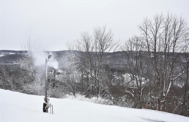 Seven Springs 1 Bedroom Premium Condo, Ski In/Ski Out by RedAwning - Foto 12