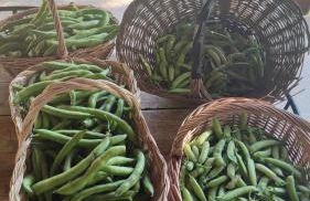 La Pezzuola 53 - Foto 60