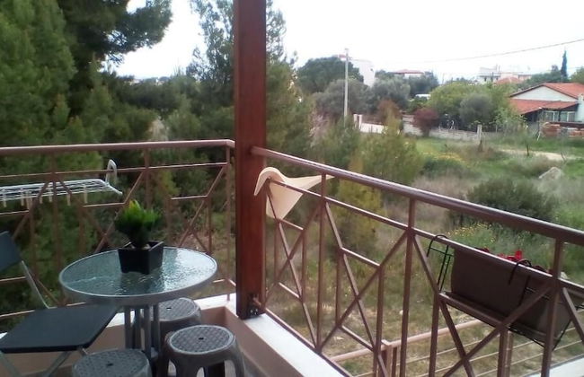 Artemissoula - Foto 55