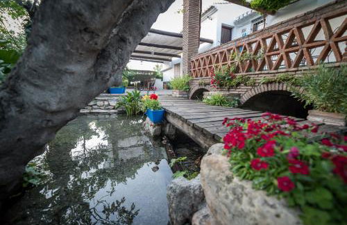 Al Agia - Molino Mísqueres de Padul - Foto 20