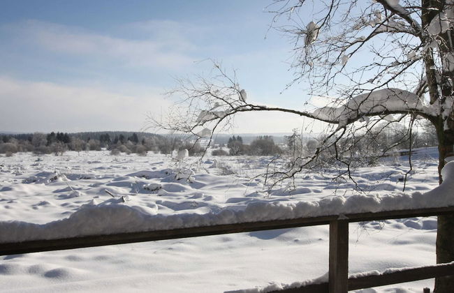 Cozy Forest Chalet Escape - Photo 15