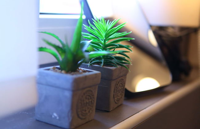 D&G Apartments Zagreb - Photo 43