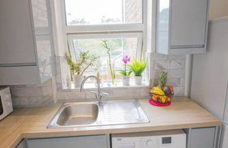 Hammersmith Apollo 1 Bedroom Apartment - Foto 8