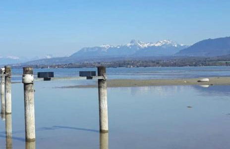 Studio Cosy les Perruches - Foto 20