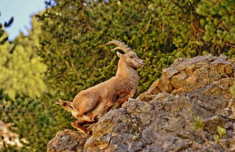 Residence Casa Federica - Foto 48