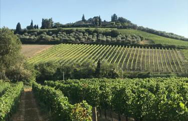 Luxury Serviced Cottage in a Historical Chianti Borgo - Foto 50