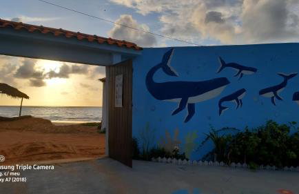 Casa beira mar com piscina Coruripe Povoado Miai de cima - Foto 8