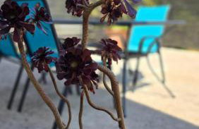 Lennida Studio Apartman with free parking - Foto 4