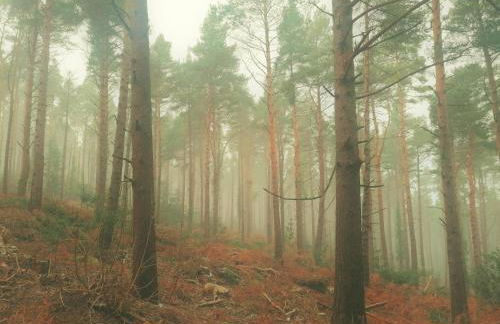 Mourne Mountain Art Apartments - Foto 88