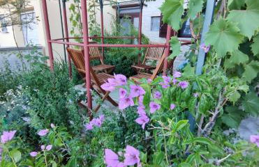 SUMMER TIME - Photo 6