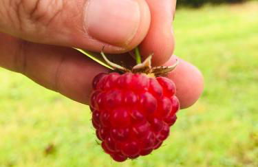 La Galayca - Foto 23