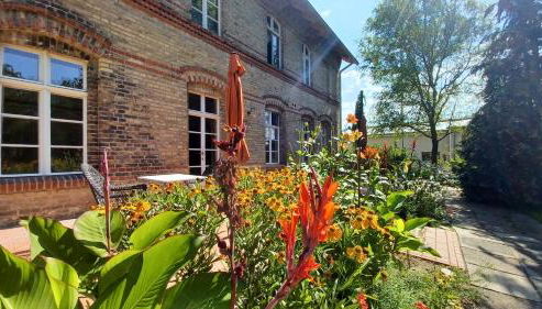 FeWo "Biene" im Kunstgut Krahne - Foto 4, Garden, Garden view