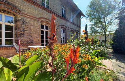 FeWo "Biene" im Kunstgut Krahne - Foto 4