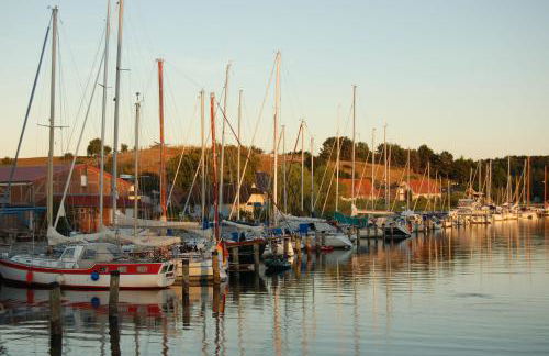 Ferienwohnung Neuensienchen im Haus am See - Foto 8