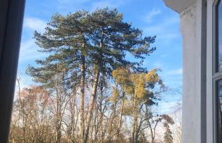 Studio à Rambouillet - Foto 1