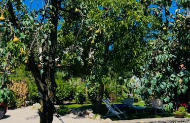 Dolce Risveglio - Foto 20