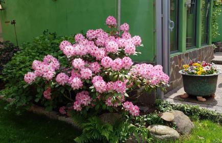 Wurmelhaus - Foto 25