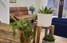 Riverside Cockatoo's Cottage Charming 3 Bed Retreat for up to 10 Guests - Foto 30