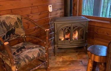 Crosslake Treetop Escape - Foto 20