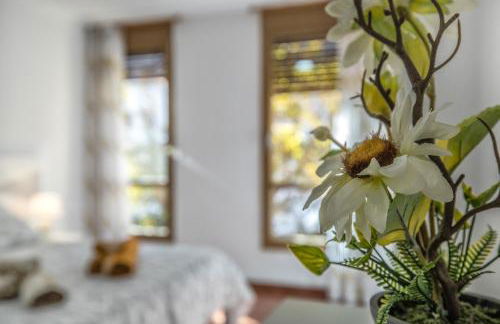 La Perla del Centro - Foto 18