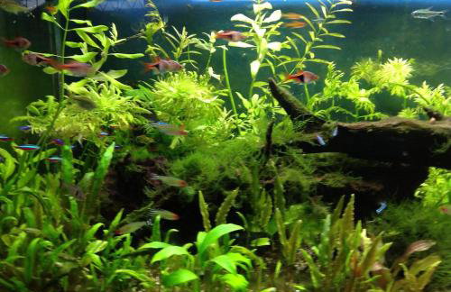 Idyllic Country Cottage South Downs - Photo 16