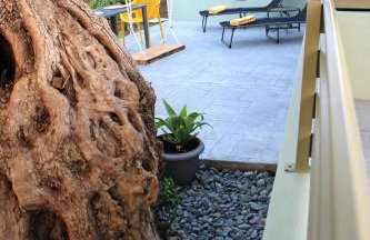 Bellisima Campagna Cabin Pelekapina - Chania Crete - Foto 23