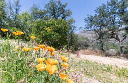 Alta Peak Penzion - Foto 68