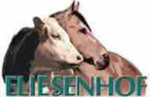 Ferien auf dem Eliesenhof - Foto 15