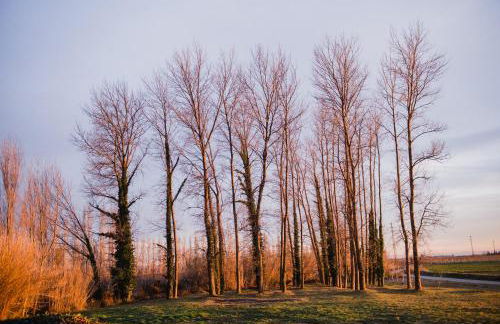 Cuna House - Foto 31