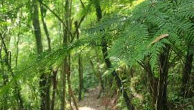 Linda Cabana com Vista Incrível nas Montanhas com Trilha, Cachoeira e Alexa - Foto 2