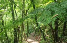 Linda Cabana com Vista Incrível nas Montanhas com Trilha, Cachoeira e Alexa - Photo 2