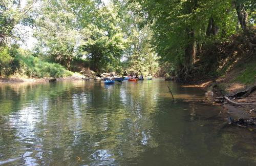 Peaceful Cabin on Rough River - Foto 17