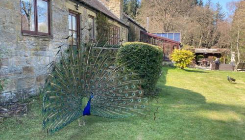 Lakewood Courtyard Northumberland - Foto 2