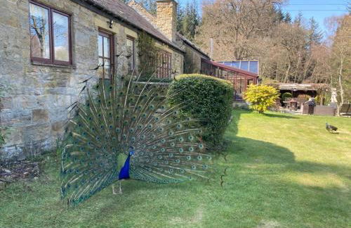 Lakewood Courtyard Northumberland - Foto 2