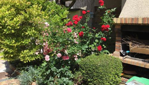 Au Bon Gite - Foto 5