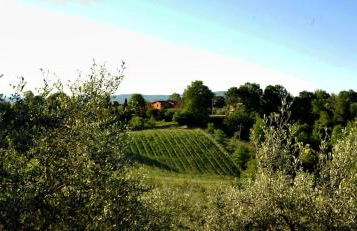 Agriturismo il Pino - Bioagricoltura - Photo 16